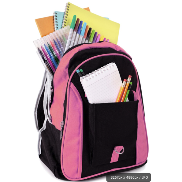 Wholesale School Backpack – 300 Pieces